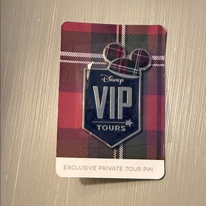 Disney VIP Tours Plaid Pin in Blue and Silver
